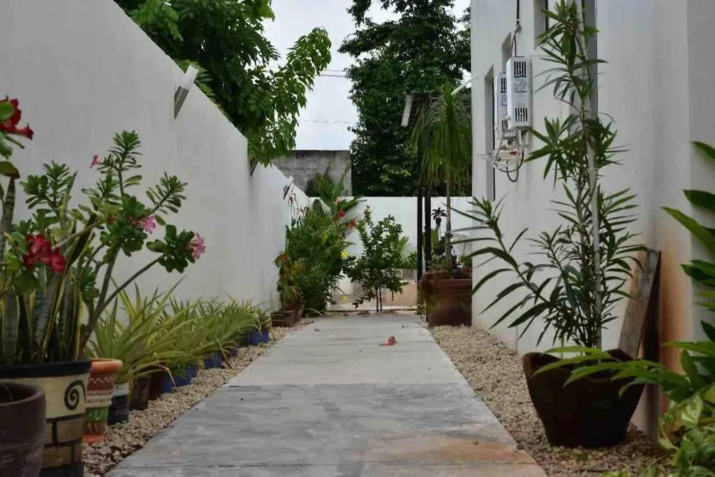 Departamento En “Casa Livia”, Piscina Y Jardin. 아파트 메리다