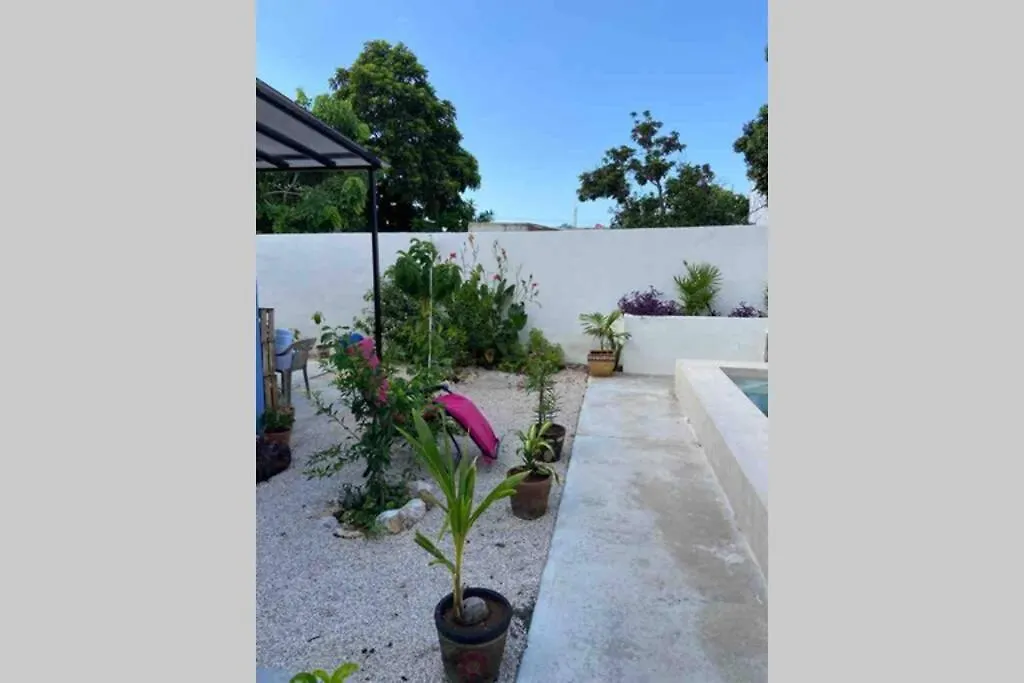 Departamento En “Casa Livia”, Piscina Y Jardin. 0*, 메리다