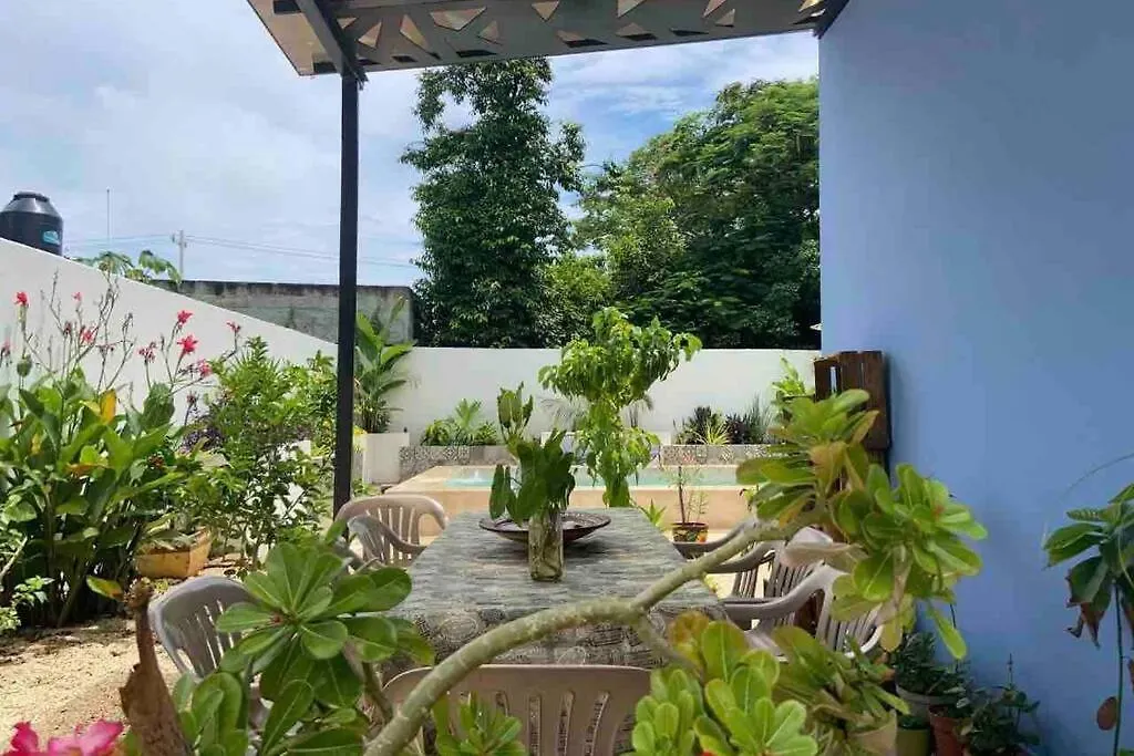 아파트 Departamento En “Casa Livia”, Piscina Y Jardin.