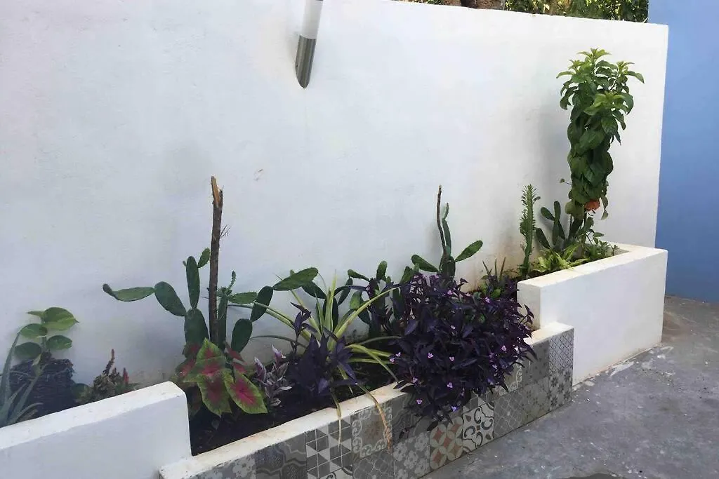 Departamento En “Casa Livia”, Piscina Y Jardin. 메리다