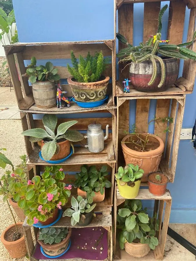 아파트 Departamento En “Casa Livia”, Piscina Y Jardin.